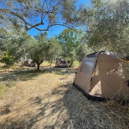 Mesa Vrysi אתר קמפינג ואסיליקי